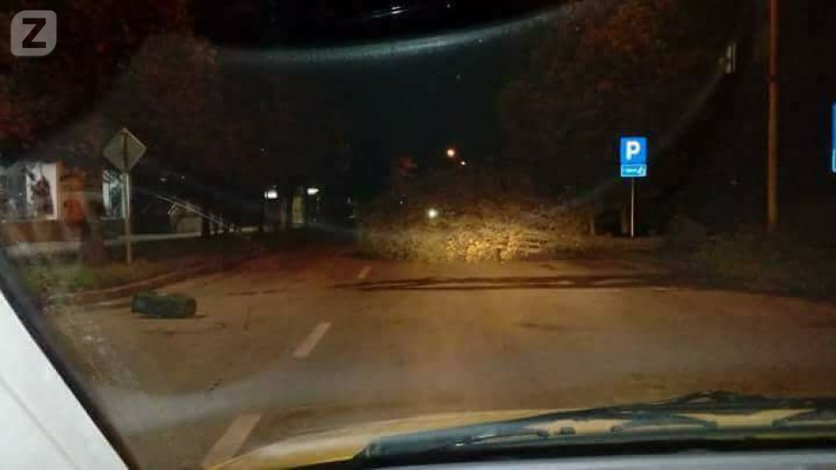 Stablo kod 