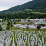 Policija ZDK provodi akciju „Srebrenica 2026“: Pojačane mjere sigurnosti povodom obilježavanja godišnjice genocida